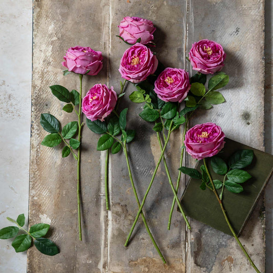 ARTIFICIAL REAL TOUCH GARDEN ROSE, MAUVE