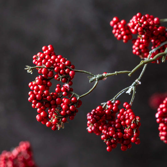 ARTIFICIAL WILD WINTER BERRY, RUBY - *Pre-order* Shipping Mid August
