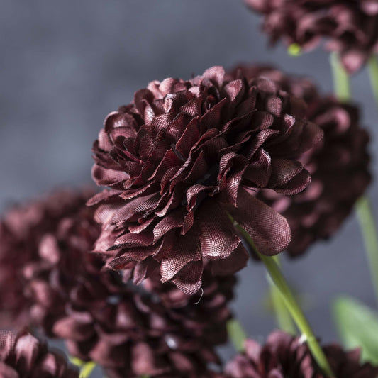 ARTIFICIAL CLOVE STEM