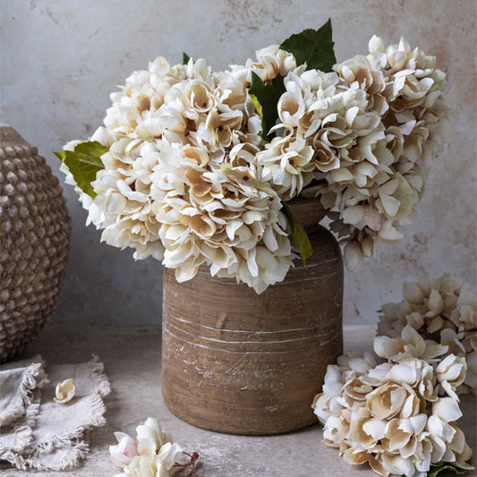HYDRANGEA MORNING MIST - *Pre-order* Shipping Dec 2025