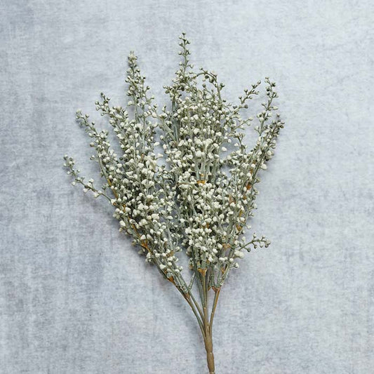 HEATHER SAGE