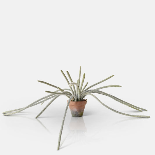 ARTIFICIAL TRAILING MONKEY TAIL CACTUS