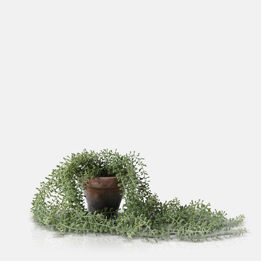 ARTIFICIAL TRAILING STRING OF PEARLS