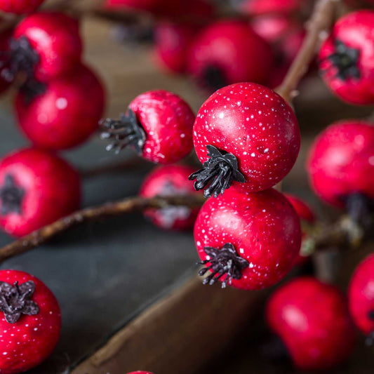 ARTIFICIAL HAWTHORN BERRY - *Pre-order* Shipping End August