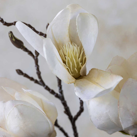 ARTIFICIAL MAGNOLIA - *Pre-order* Shipping Mid July