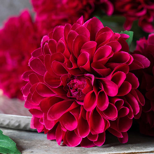ARTIFICIAL REAL TOUCH DAHLIA, RUBY - *Pre-order* Shipping End August