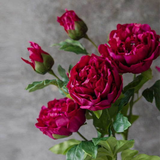 ARTIFICIAL REAL TOUCH PEONY, RUBY - *Pre-order* Shipping End August