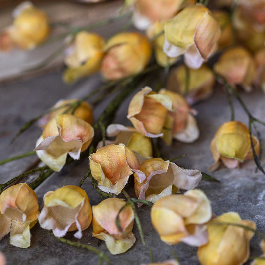 ARTIFICIAL WILD CANTERBURY BLOSSOM - *Pre-order* Shipping Mid July
