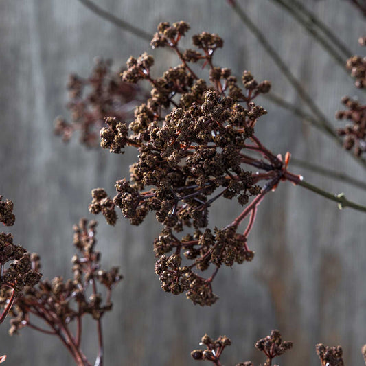 ARTIFICIAL WOODLAND YARROW - *Pre-order* Shipping Mid August