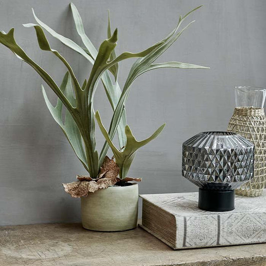 ARTIFICIAL STAGHORN PLANT