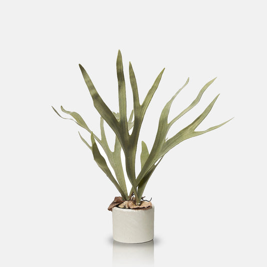 ARTIFICIAL STAGHORN PLANT