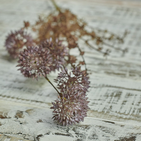 MELALEUCA PURPLE
