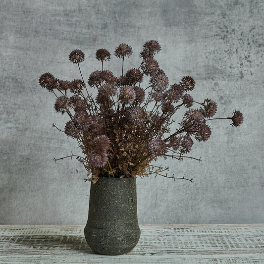 MELALEUCA PURPLE